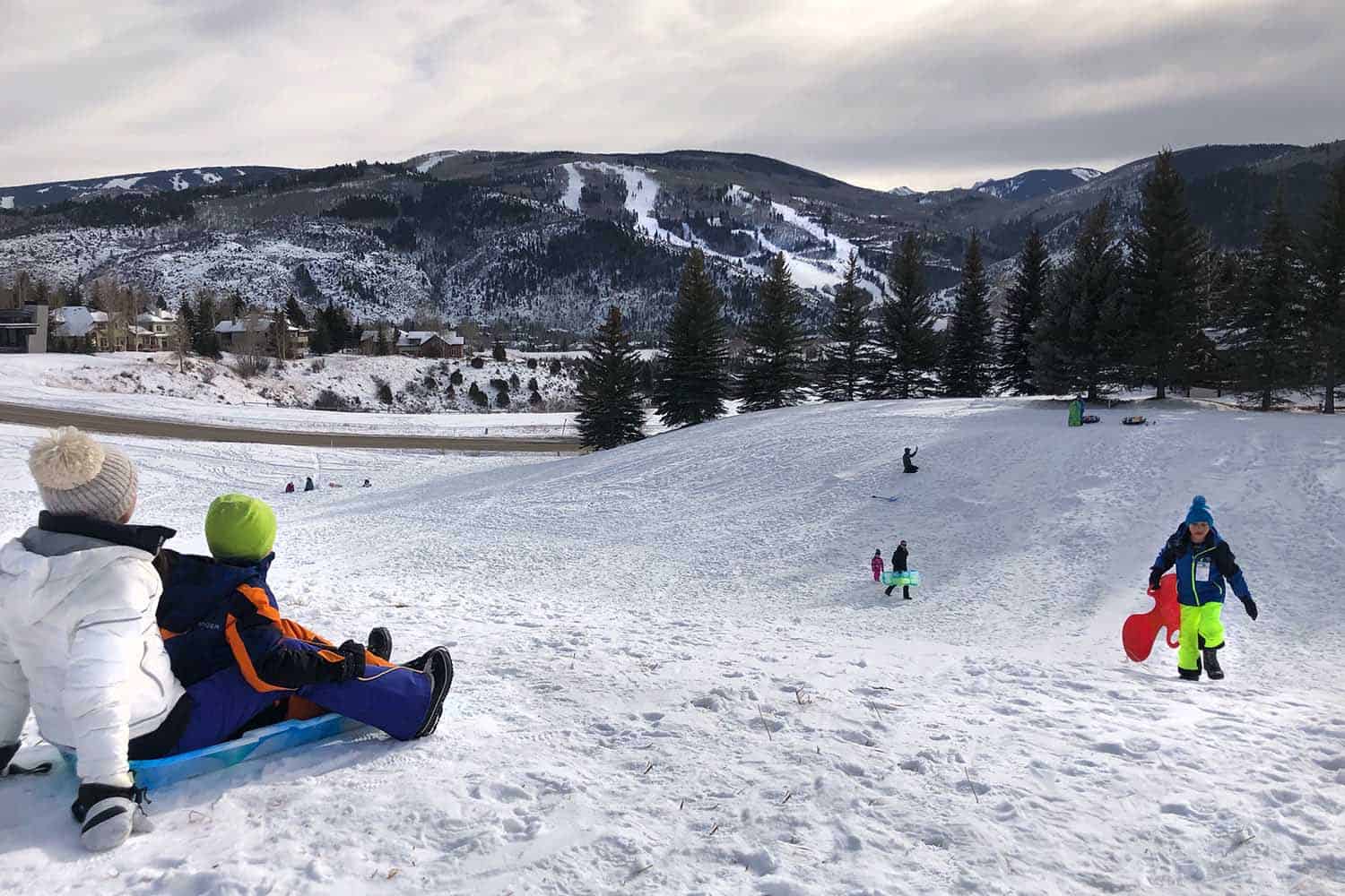 Families sledding down a snow-covered hill