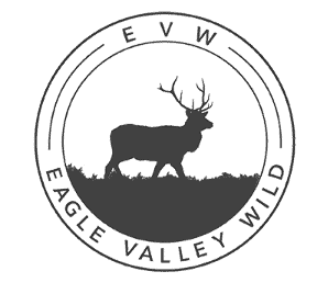 EVW logo