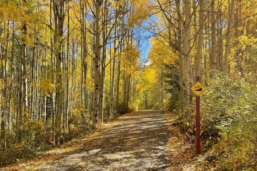 Vail Bike Path