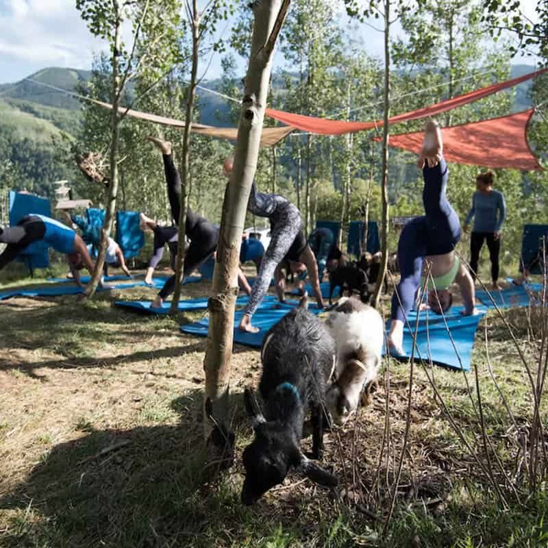 Yoga outside overlooking the valley