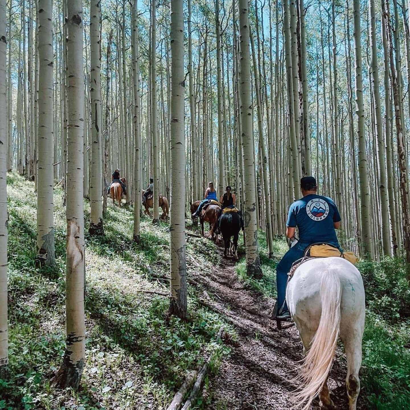 horseback riding in the woods