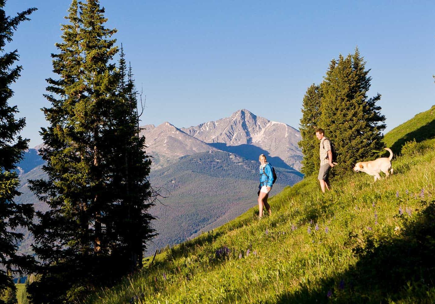 Couple with dog hiking downhill
