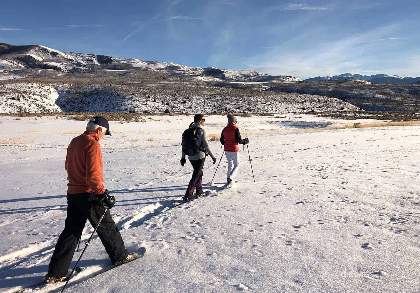People cross country skiing over snowy landscape