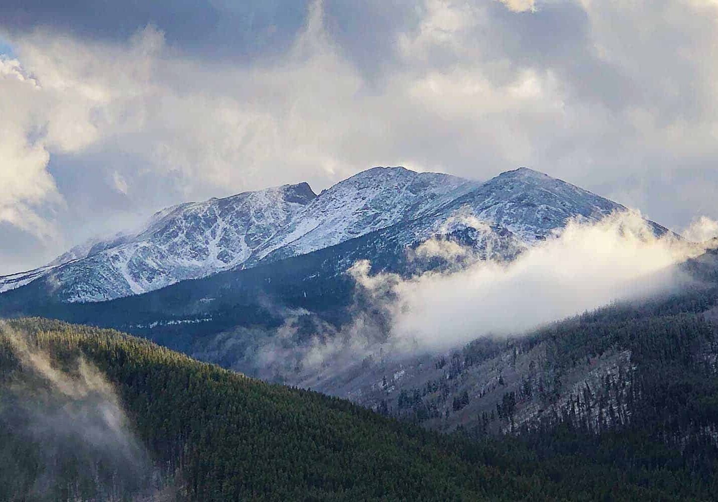 Hills with pine trees and mountains convered in snow