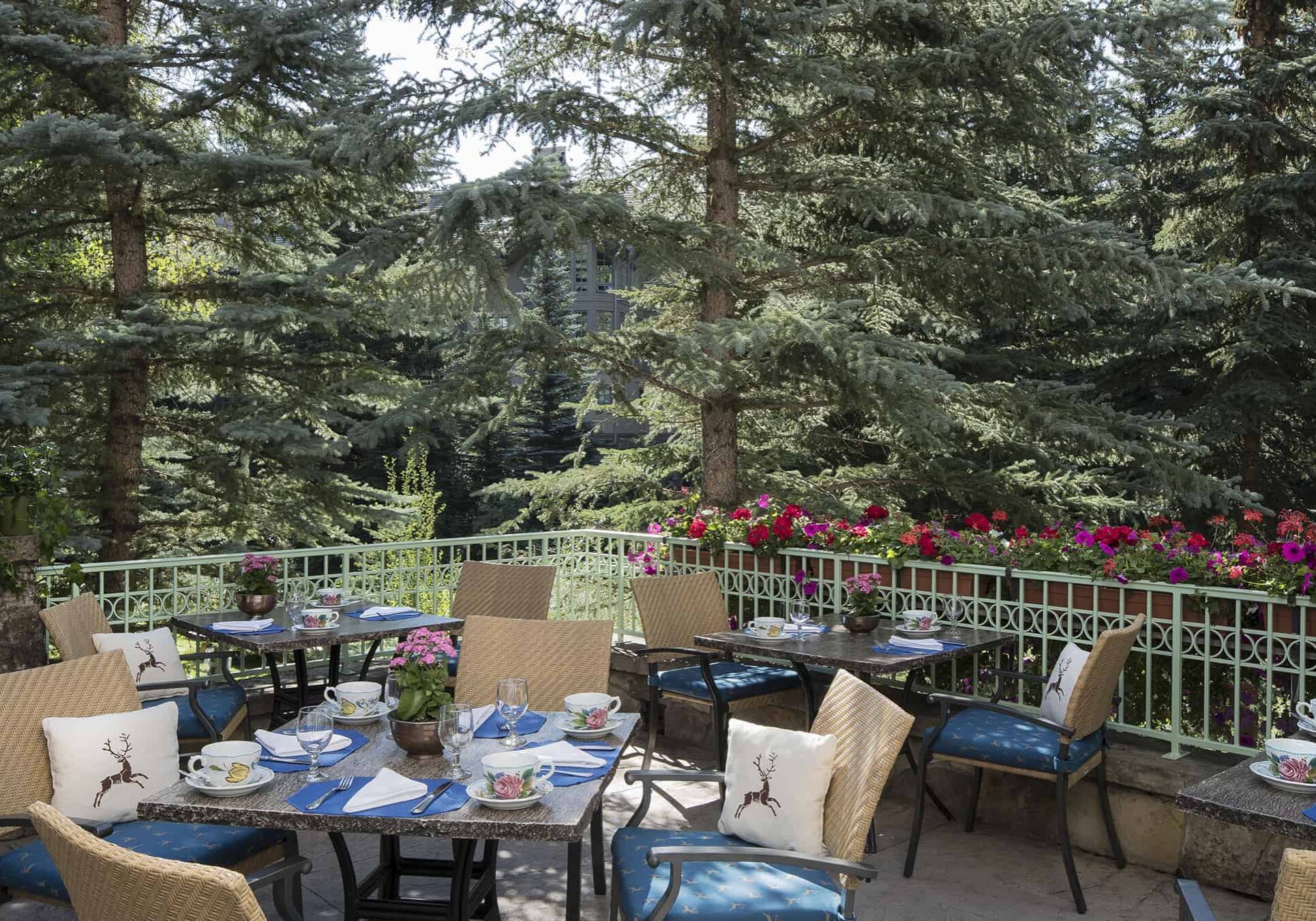 outdoor tables and chairs in patio